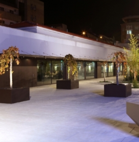 Plantar petúnias para a primavera